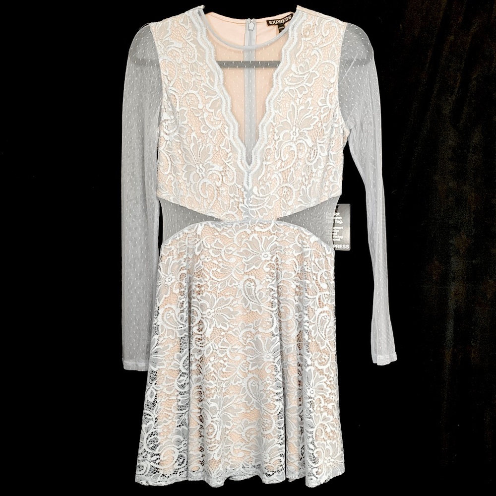 Express Dotted Swiss Sheer Mesh & Lace Long Sleeves Mini Dress